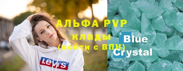 дживик Богородицк
