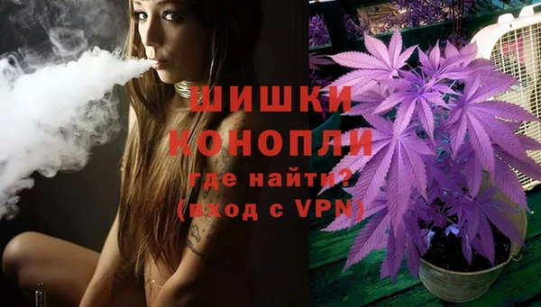 дживик Богородицк