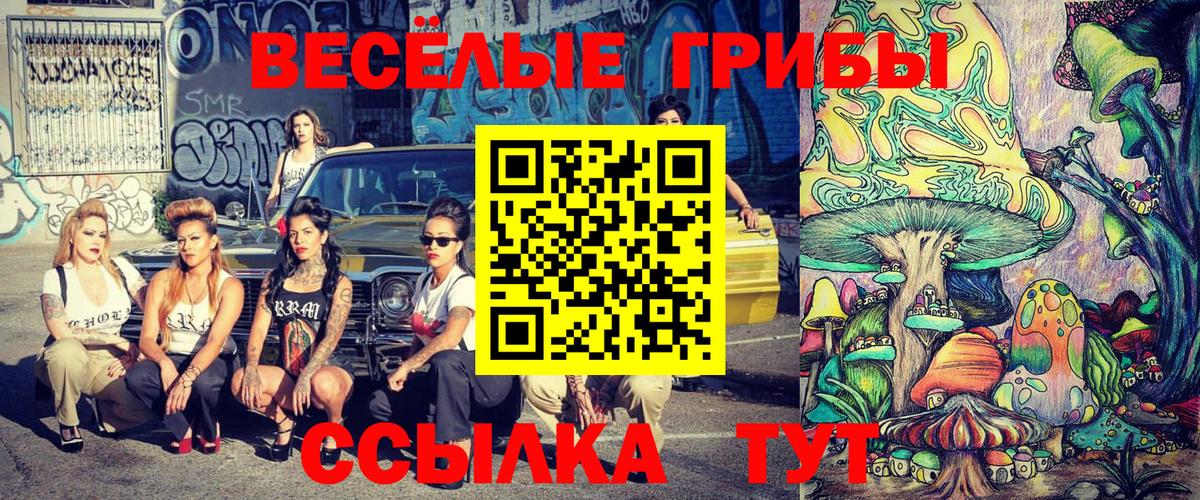 Галлюциногенные грибы мухоморы Кузнецк