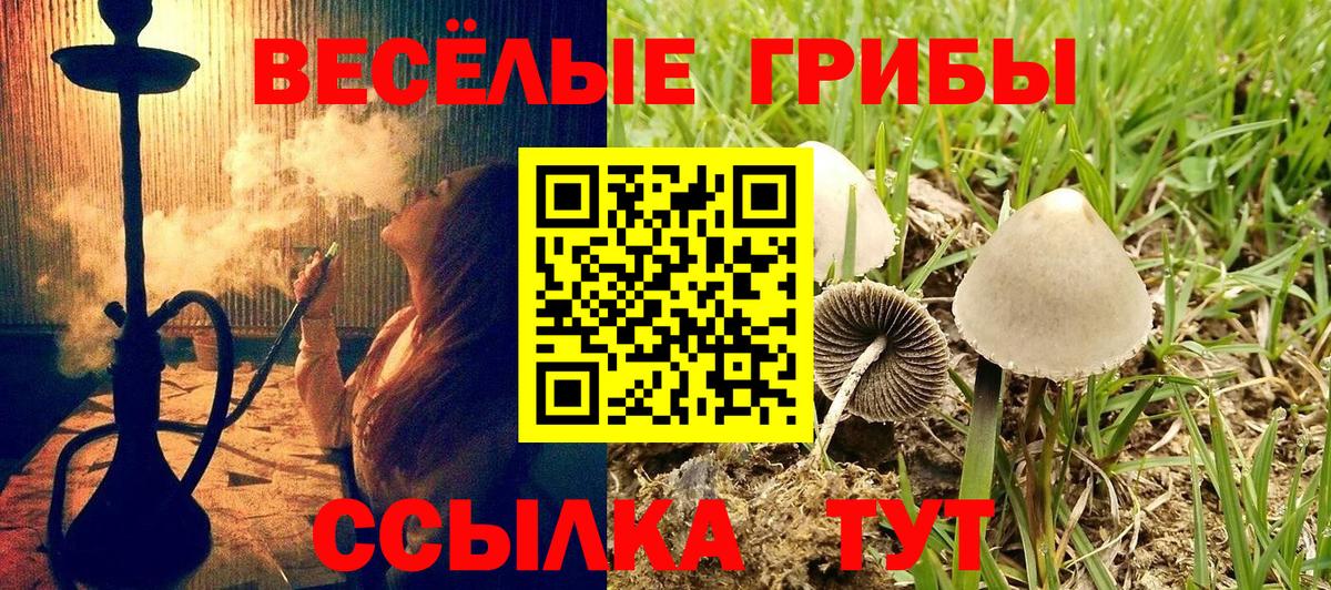 Марихуана  Гашиш  НБОМе  Codein  Купить наркоту  Кузнецк  ЭКСТАЗИ  А ПВП СОЛЬ кристаллы  Мефедрон кристаллы  МЕТАМФЕТАМИН  Вход с VPN 