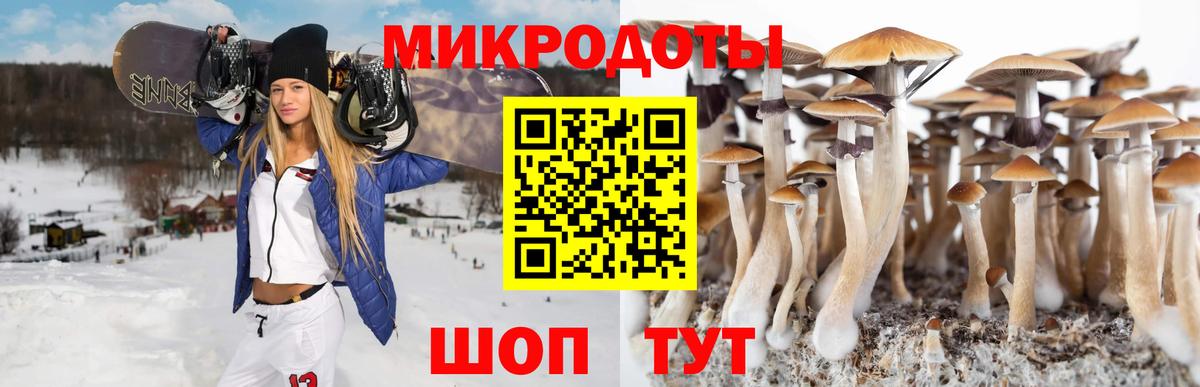 Галлюциногенные грибы MAGIC MUSHROOMS  Вход с VPN  Кузнецк 